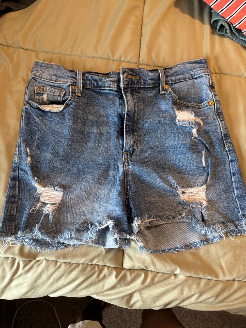 Signature by Levi Strauss Distressed Blue Denim Shorts
